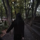 고요한 숲 이미지