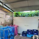 짱마트 | 정선 하이하늘 펜션에서 1박