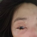 화원약국 | 9월 그리고 10월 추석 이전까지의 일상