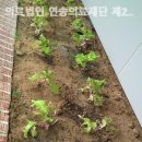 의료법인연송의료재단 신창요양병원 이미지