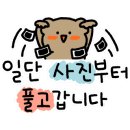 디바인독(DIVINE DOG) 이미지