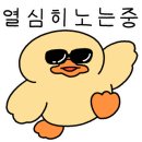 알라딘호