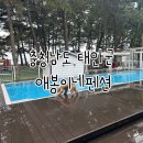 애봉이네 이미지