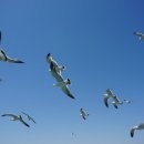 야달선착장 이미지