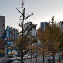 자갈치교차로 이미지