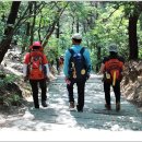 KT밀양지사 이미지