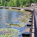 은혜한의원 | 그야말로 번개 + 후기