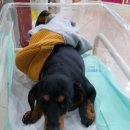 망미동물병원 이미지