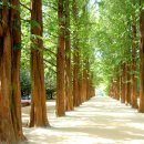 조은렌트카 이미지