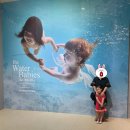 제나할러웨이 워터베이비전 이미지