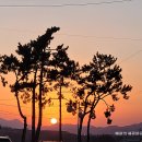 돌산 노블호텔 이미지