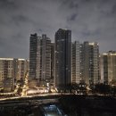 진참치랑연어 이미지