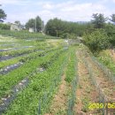 인비농장 이미지