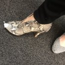[애리조나 피닉스]쇼핑성지!!할인의 끝판왕! Last Chance discount shoes&amp;apparel