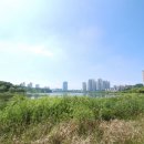 비엔에스쇼핑 | 50대 아빠 선물 홍삼 건강기능식품 황칠 침향 숙지황 파워엔케이3