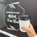 테라피도림
