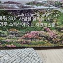 대경사과원예농협 영천지점(경제) 이미지