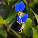 아침들녘 이미지