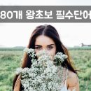 기초필수 일본어 단어 암기 이미지