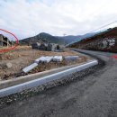 동산초교 이미지