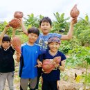 선두농장 이미지