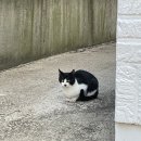 강변해밀민박 | [대구] 달성군 다사 숙소 독채팬션 넓은 마당이 있는 리버뷰 강변해밀민박 화장실3개