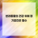 엉클장동물병원 이미지