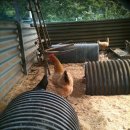 어울림농장 이미지