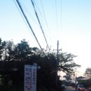 돼지촌식당 이미지