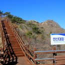 동양카 이미지