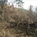 고전초등학교고남분교장 이미지