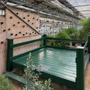 허브농원 | 화성아기랑갈만한곳 원평허브농원카페 솔직후기 (입장료 무료, 모래놀이 가능)