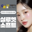 (주)진소프트 | 실루엣소프트후기 비교 효과 추천 잘하는곳