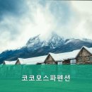코코모펜션