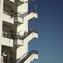 소마(SOMA) 이미지