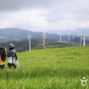 한일목장 이미지