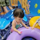 강남짐보리 | [강남짐보리] 여름특별행사 수업 Under The Sea 바닷가로 여름휴가 GOGO!