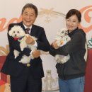 라운지펫 뉴시스