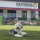 여우비 관광호텔 이미지