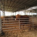 검바우농장 이미지