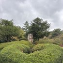 행복미소 동물약국 | ❄️ 겨울 제주도 비자림숲길 소요시간 아침미소목장 카페 방문후기