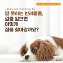 도곡종합동물병원 이미지