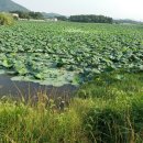 나주 산포에서 가까운 저수지(추월도사님의 글 보충설명,,,,) 이미지