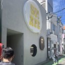 고냥이네 | 고냥이 천국(2)