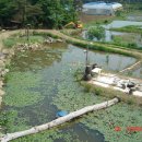 장어농장 이미지