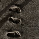 경포별빛연가 이미지