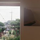 빌라드네이쳐