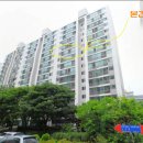 무궁화태영 이미지