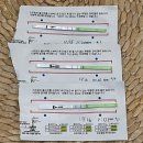 CU 고성스마일점 | 11월 강원도 양양 여행 숙소 :: 아늑했던 소소한 이야기펜션