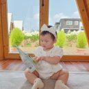 민하마을 네이버블로그